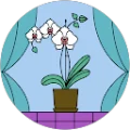 Shivanthi Somadasa Avatar